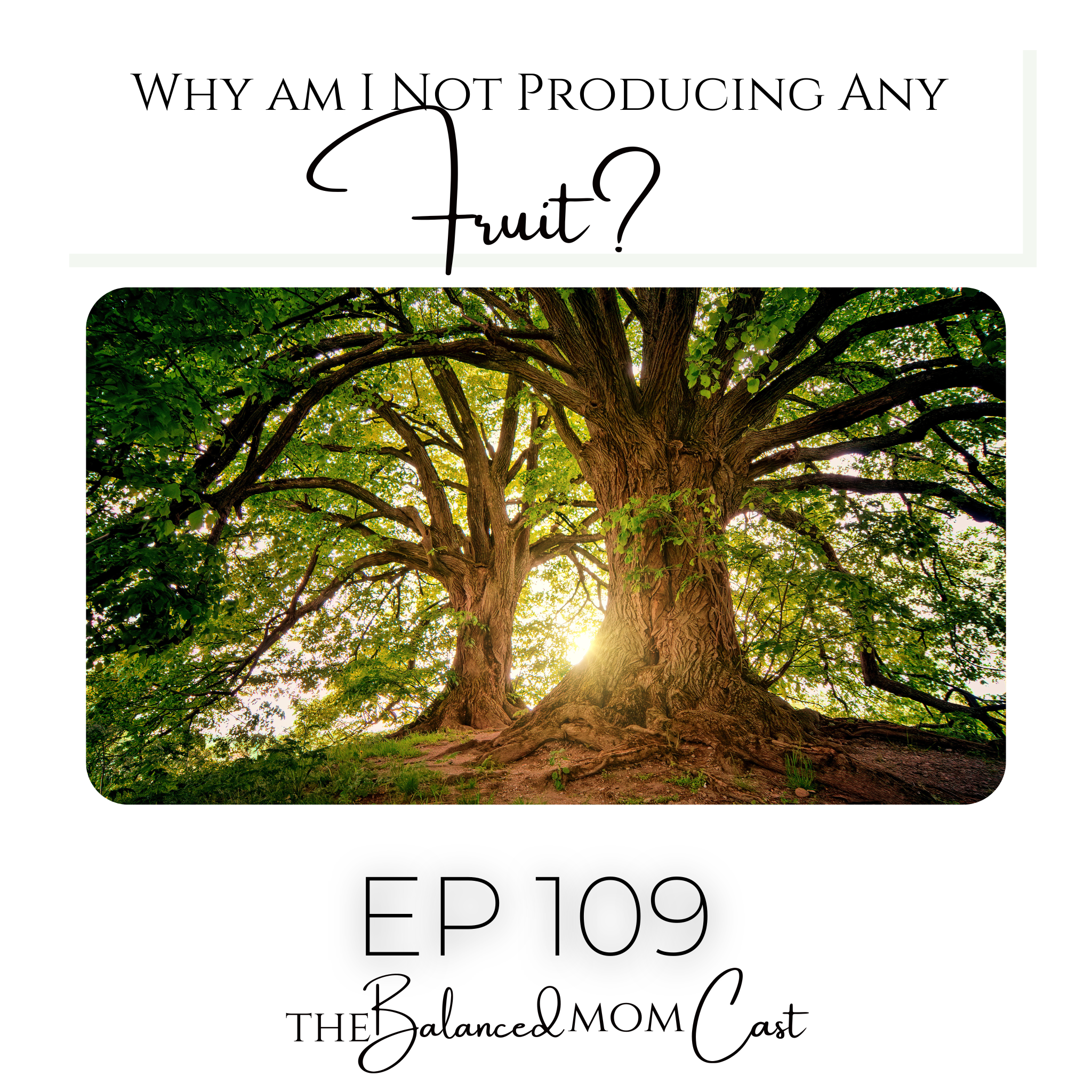 Ep 109: Why am I Not Producing Any Fruit?