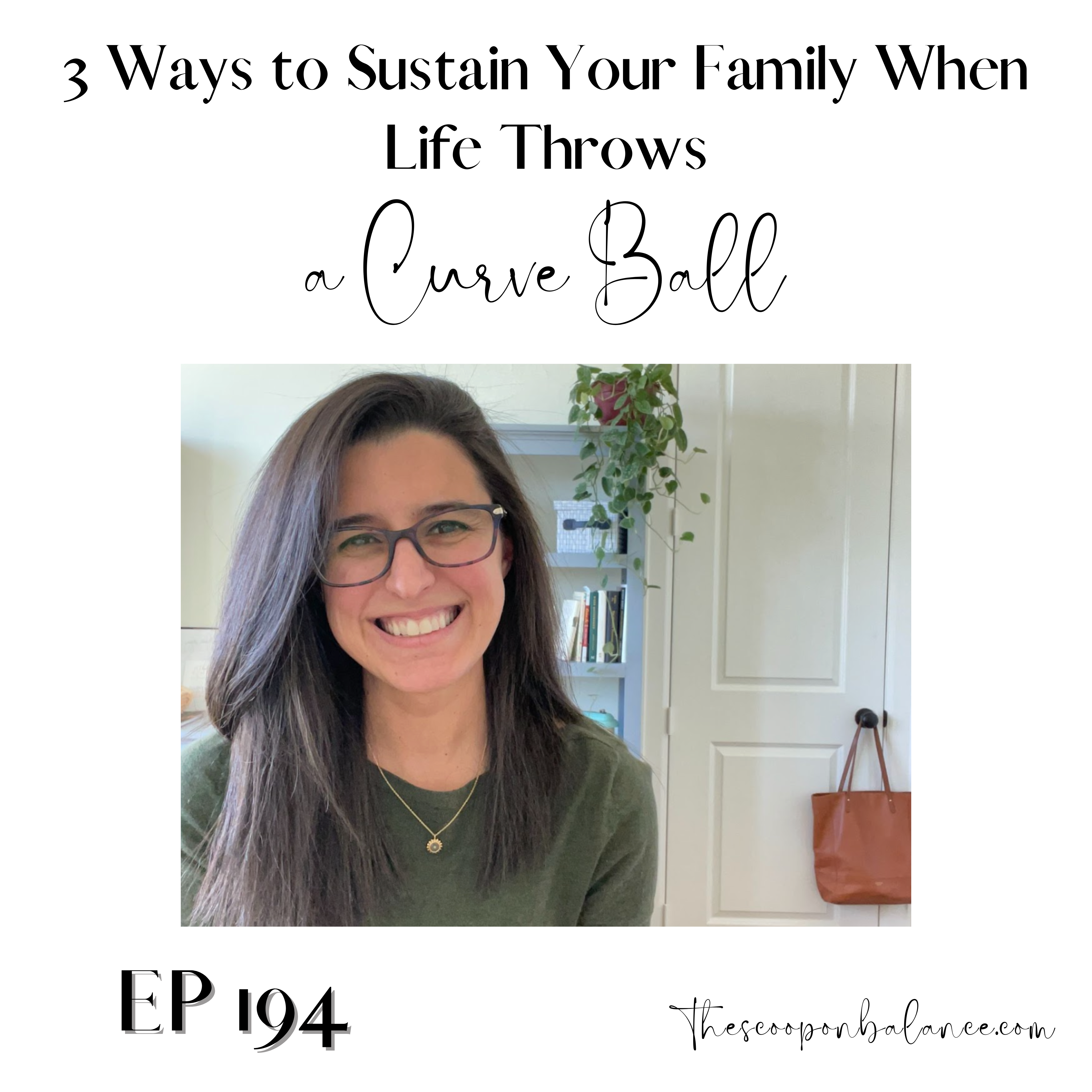 Ep 194: 3 Ways to Sustain Your Family When Life Throws a Curve Ball