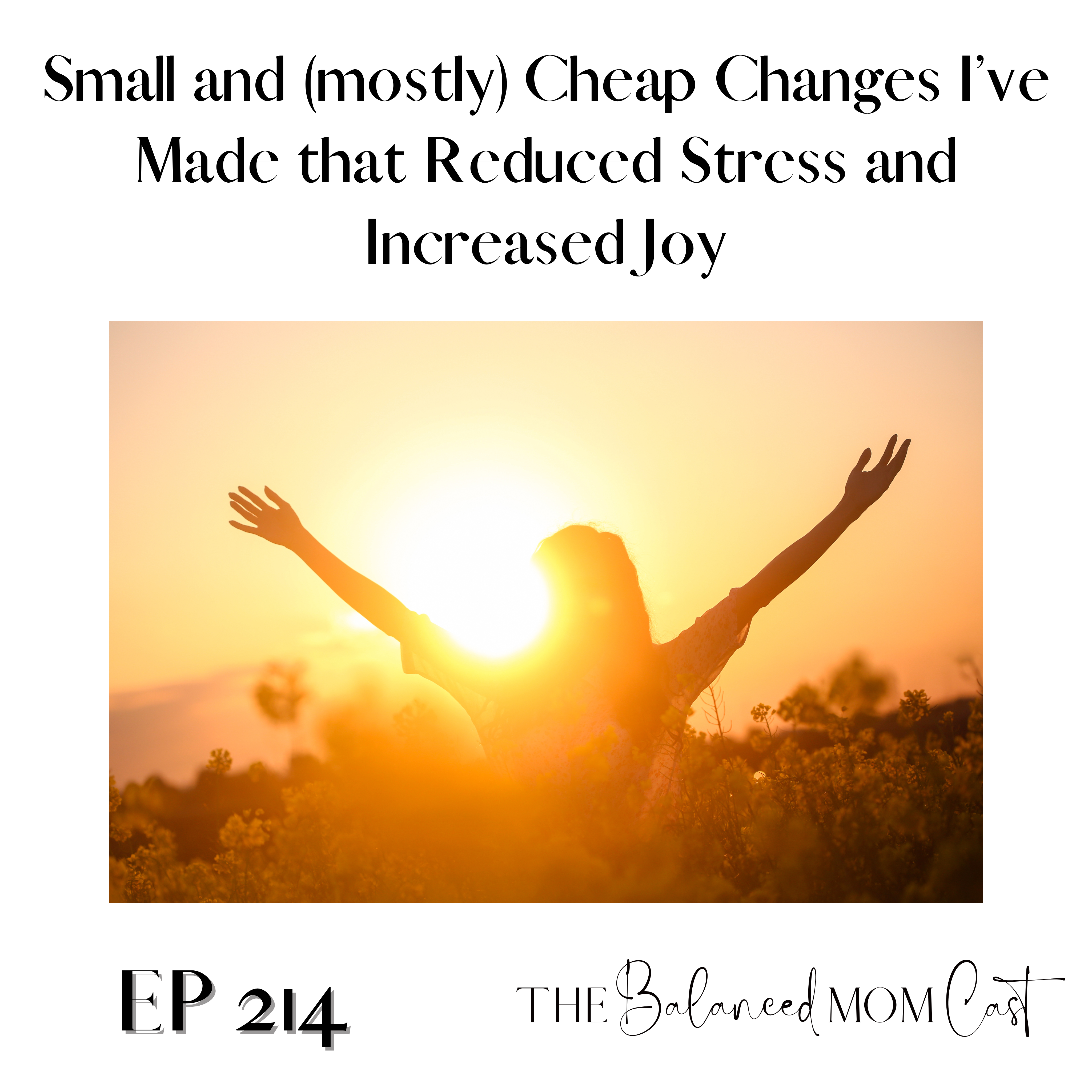Ep 214: Small and (mostly) Cheap Changes I’ve Made that Reduced Stress and Increased Joy